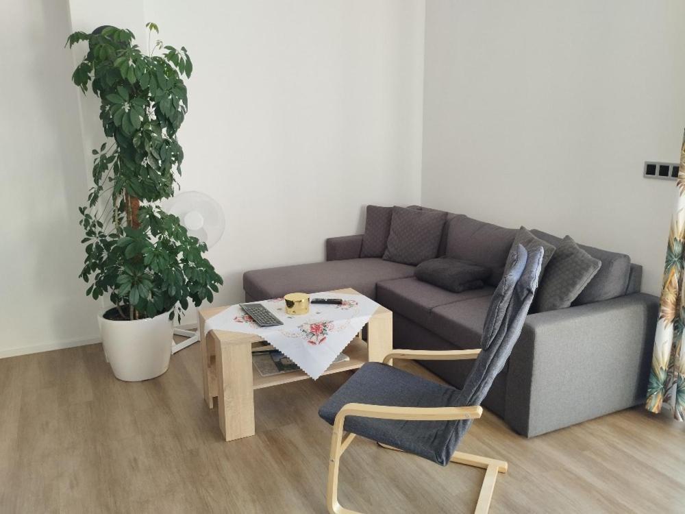 Apartman Dasa Фримбурк Экстерьер фото